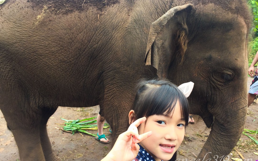 Angela319♥Taiwan國外親子遊第4個城市-泰國 清邁 照顧大象體驗：Elephant Jungle Sanctuary